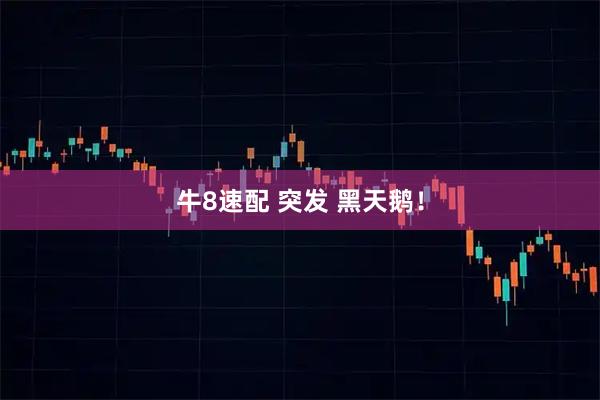 牛8速配 突发 黑天鹅！
